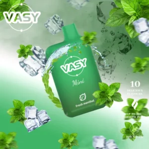 Hot-Selling VASY Mini 600 Puffs Wholesale Disposable Vape Pen with 20mg Nicotine Strength, TPD Approved from Factory Direct 1