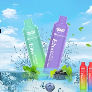 Best-Selling Vasy Elise 5000 Puffs Wholesale Disposable Vape, Mesh Coil, 550mAh Battery, Multiple Nicotine Options from China Factory 1