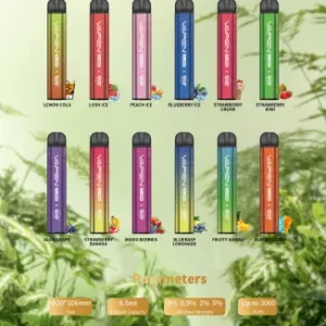 Best-Selling Vasy Vapen 3000 Puffs Disposable Vape Pen 22ml E-liquid Multiple Nicotine Strengths 1000mAh Battery from Original Factory
