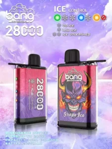 Bang 28000 Puffs Wholesale Direct from Source Experience Fresh Flavors (2)
