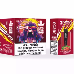Bang King 30000 Puffs Pro Wholesale Direct from Source Experience Fresh Flavors 1
