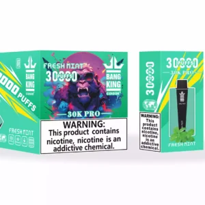 Bang King 30000 Puffs Pro Wholesale Direct from Source Experience Fresh Flavors (10)