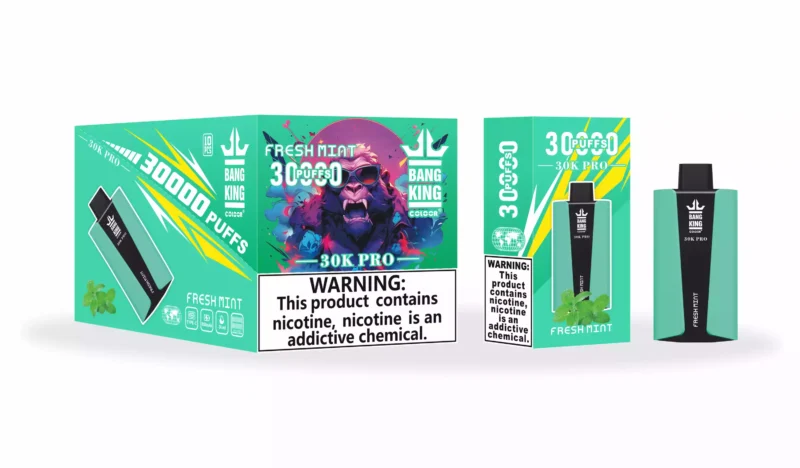 Bang King 30000 Puffs Pro Wholesale Direct from Source Experience Fresh Flavors (10)