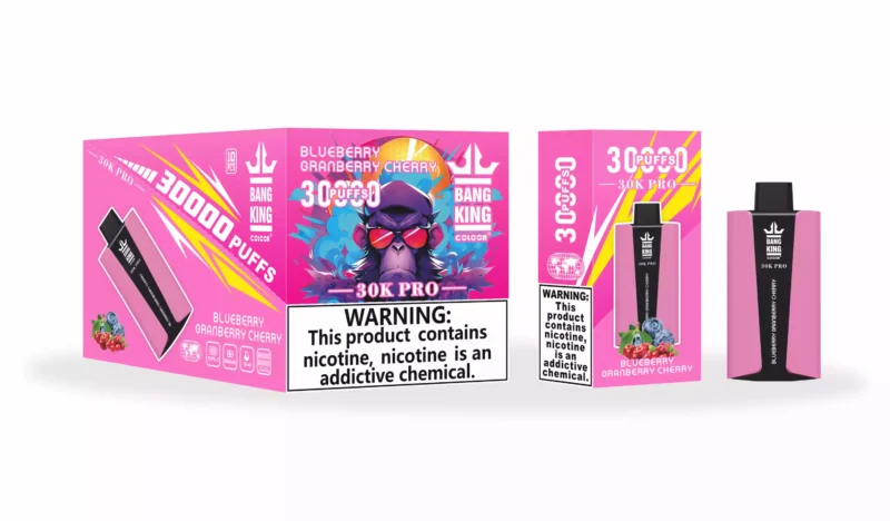 Bang King 30000 Puffs Pro Wholesale Direct from Source Experience Fresh Flavors 2 scaled
