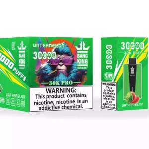 Bang King 30000 Puffs Pro Wholesale Direct from Source Experience Fresh Flavors 5