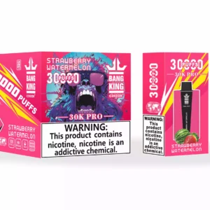 Bang King 30000 Puffs Pro Wholesale Direct from Source Experience Fresh Flavors 6