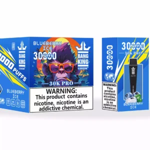 Bang King 30000 Puffs Pro Wholesale Direct from Source Experience Fresh Flavors 8