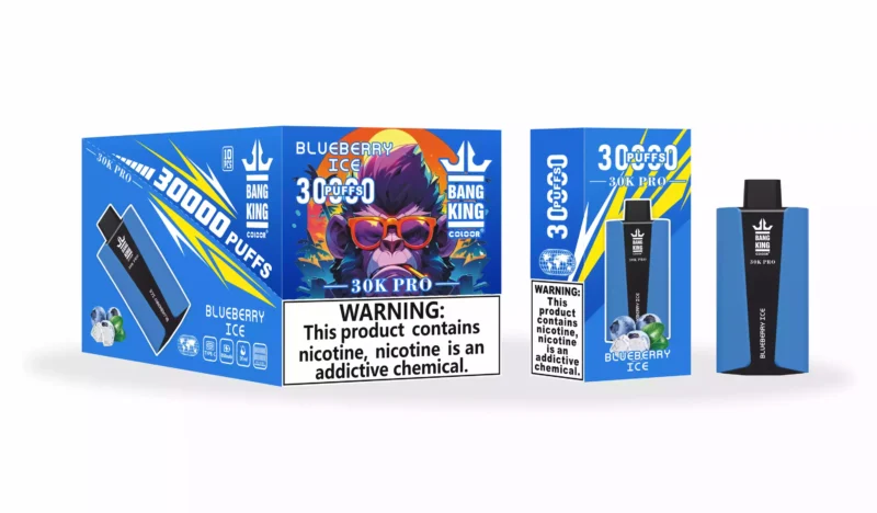 Bang King 30000 Puffs Pro Wholesale Direct from Source Experience Fresh Flavors 8 scaled