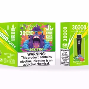 Bang King 30000 Puffs Pro Wholesale Direct from Source Experience Fresh Flavors 9