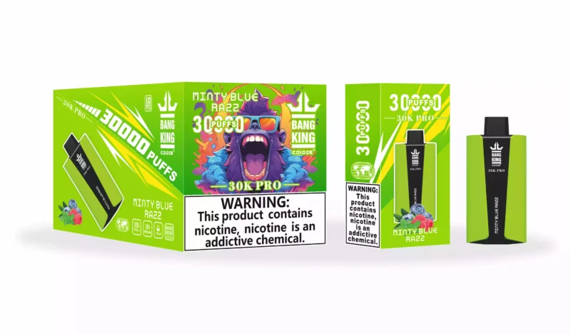 Bang King 30000 Puffs Pro Wholesale Direct from Source Experience Fresh Flavors 9 scaled